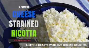 Farmers Cheese vs. Strained Ricotta: Unraveling the Dairy Dilemma