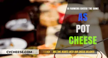 Farmers Cheese vs. Pot Cheese: Understanding the Key Differences