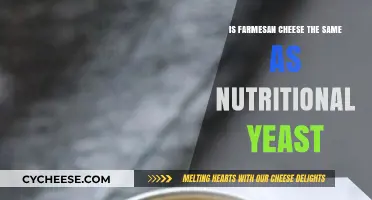 Farmesan Cheese vs Nutritional Yeast: Unraveling the Flavor and Nutrition Differences