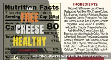 Fat-Free Cheese: Healthy or Not?