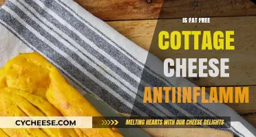 Is Fat-Free Cottage Cheese Anti-Inflammatory? Uncovering the Truth