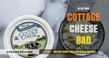 Is Fat-Free Cottage Cheese Bad? Uncovering the Truth and Health Impacts