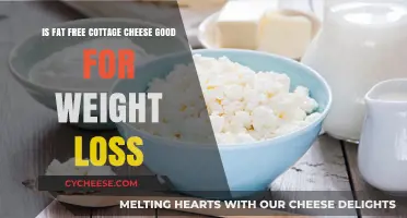 Fat-Free Cottage Cheese: A Weight Loss Ally or Myth?