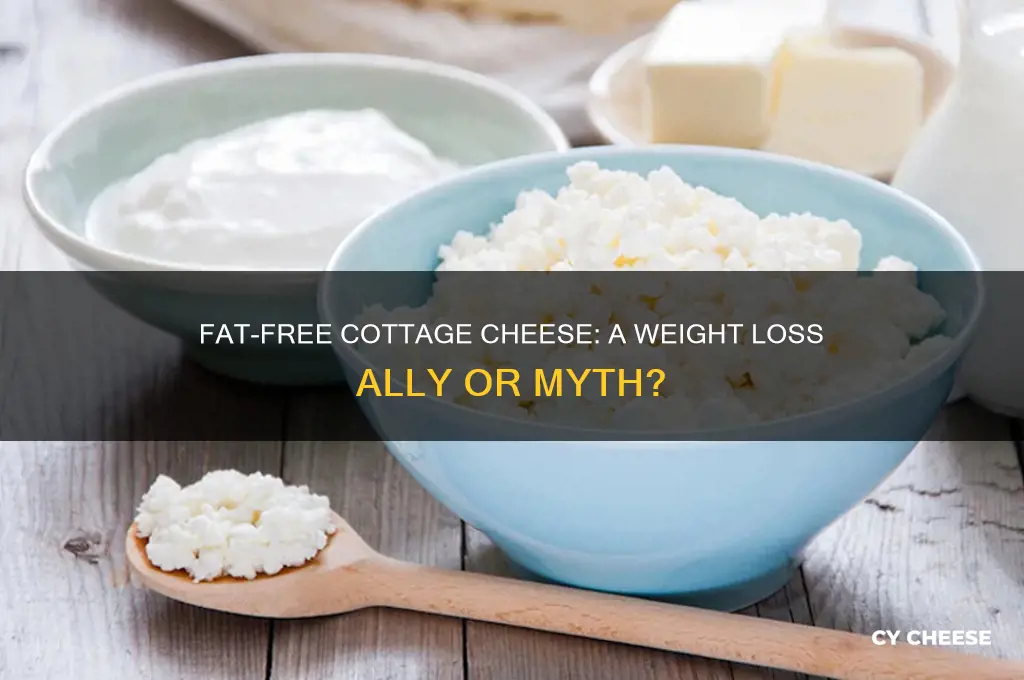 is fat free cottage cheese good for weight loss