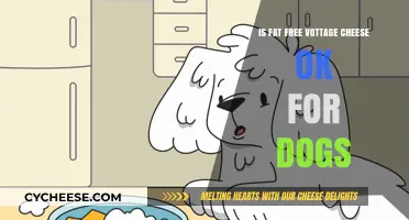 Can Dogs Eat Fat-Free Cottage Cheese?