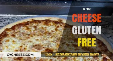 Gluten-Free Fatz Cheese: Is It Safe to Eat?