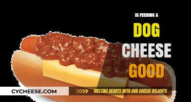 Cheese for Dogs: Good or Bad Treat?