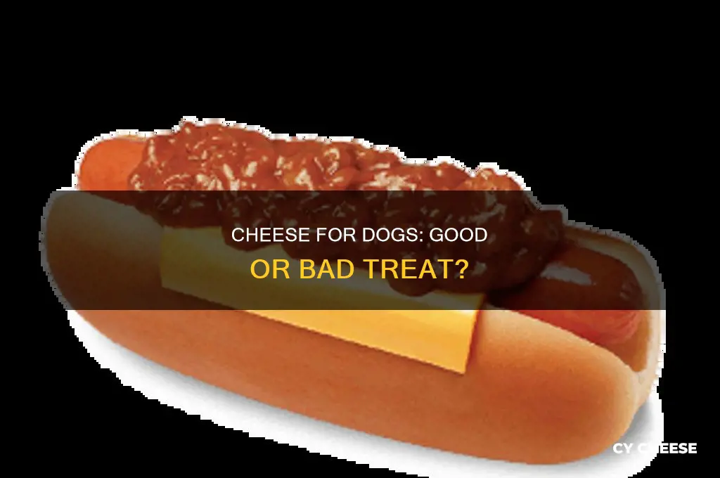 is feeding a dog cheese good