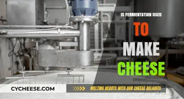 How Fermentation Creates Cheese: The Science Behind It