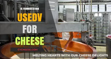 Exploring Fermentation's Role in Cheese Making: Process and Benefits