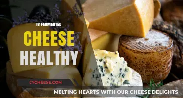 Fermented Cheese: Healthy Superfood or Unhealthy Indulgence?