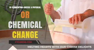 Fermenting Cheese: Unraveling the Physical vs. Chemical Change Debate