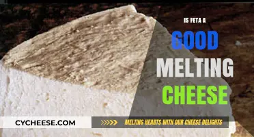 Feta Cheese: Melting Point and Taste