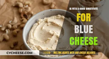 Feta vs Blue Cheese: A Tasty Alternative?