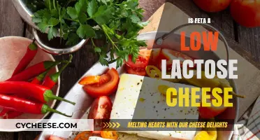 Feta Cheese and Lactose: What You Need to Know