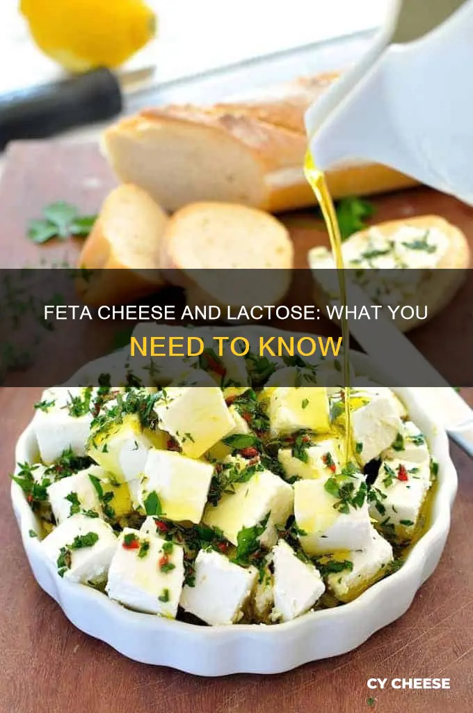 is feta a low lactose cheese