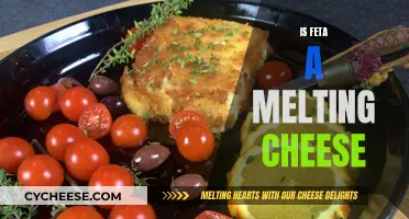 The Melting Point of Feta Cheese: What's the Verdict?