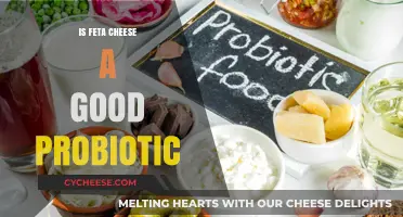 Feta Cheese: A Probiotic Superfood?