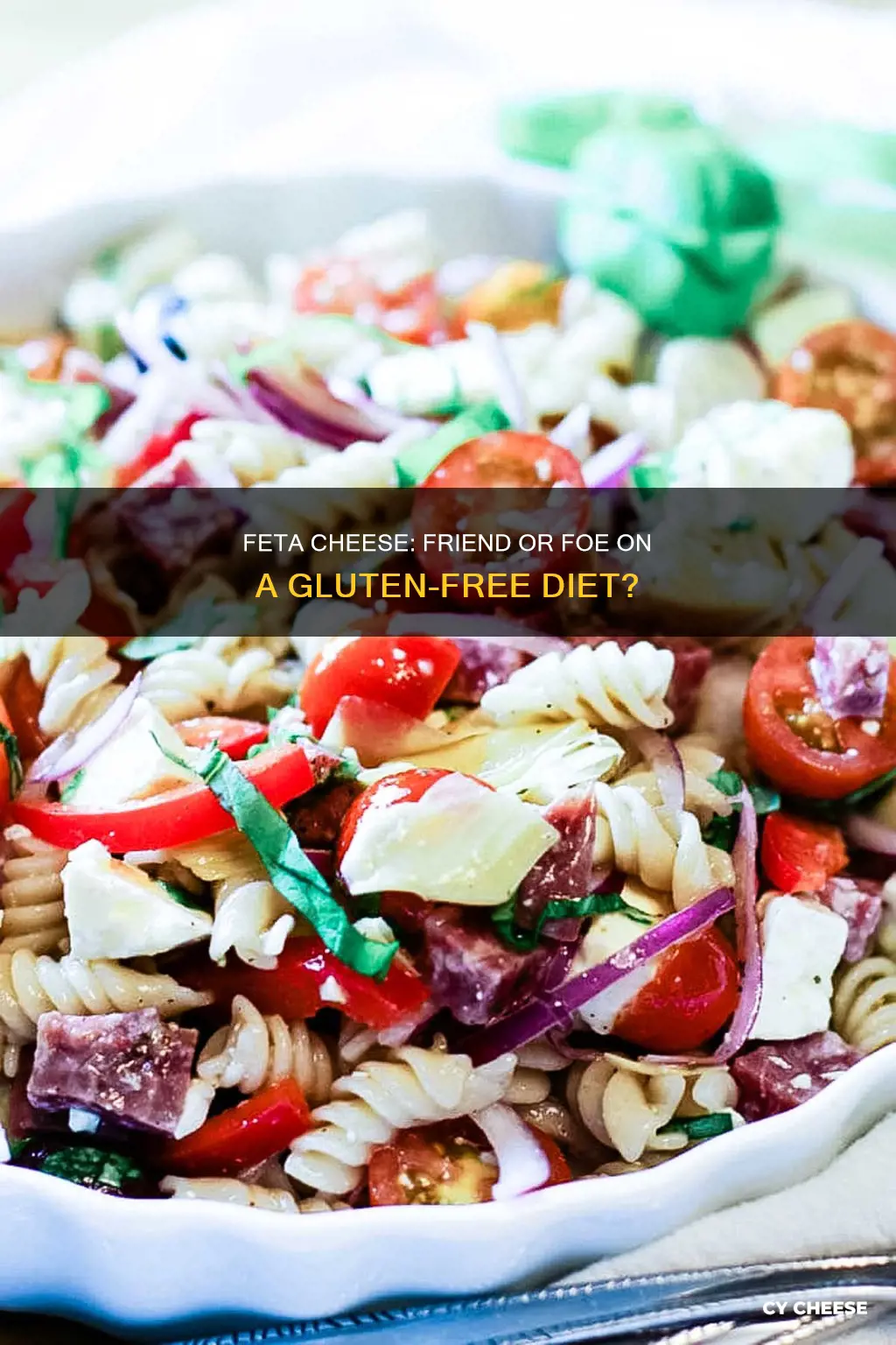 is feta cheese allowef on gluten free diet