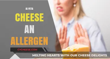 Feta Cheese: Allergens and What You Need to Know