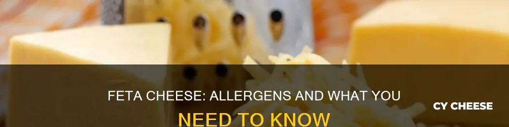 is feta cheese an allergen