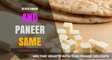 Feta and Paneer: What's the Difference?