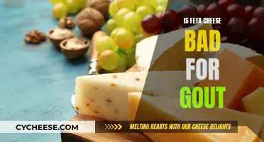 Feta Cheese and Gout: A Healthy Relationship?