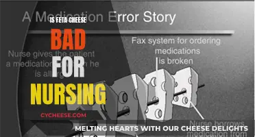 Feta Cheese and Breastfeeding: What You Need to Know