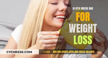 Feta Cheese: Friend or Foe in Weight Loss?