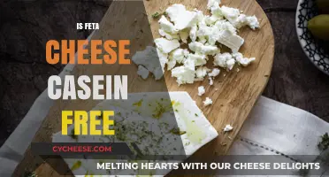 Feta Cheese and Casein: What's the Deal?