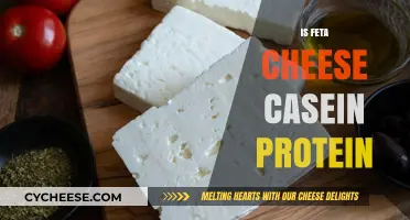 Feta Cheese: A Rich Source of Casein Protein
