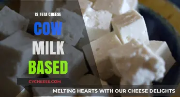 Feta Cheese: What Milk Is Used?