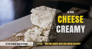 The Creaminess of Feta Cheese: What's the Verdict?