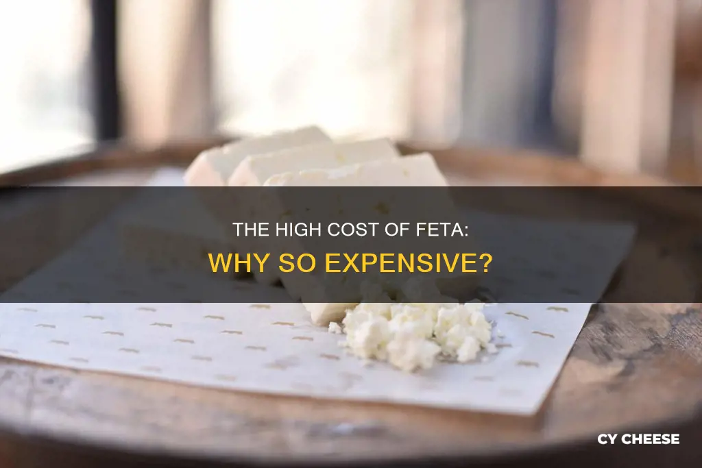 is feta cheese expensive