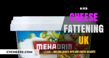 Feta Cheese: Healthy or Fattening?