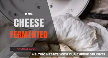 Feta Cheese: A Fermented Dairy Delight