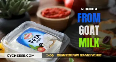 Feta's Origin: Goat's Milk or Cow's Cream?