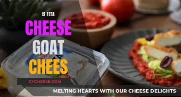 Feta Cheese: Is It Really Goat Cheese?