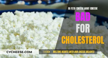 Feta Cheese and Cholesterol: What's the Connection?