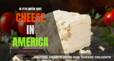 Feta's Origin: Goat's Milk or Cow's Milk in American Feta?