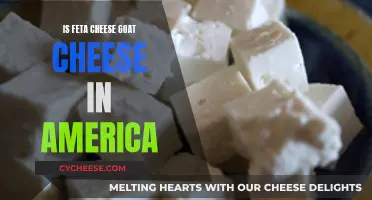 Feta Cheese: American Goat Cheese or Not?