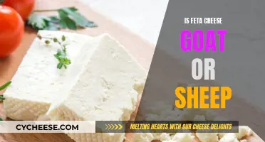 Goat or Sheep: What's Feta Cheese Made From?