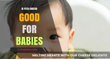 Feta Cheese for Babies: Is It Safe?