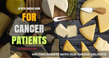 Feta Cheese: A Healthy Option for Cancer Patients?