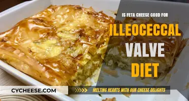Feta Cheese: Friend or Foe of the Ileocecal Valve?