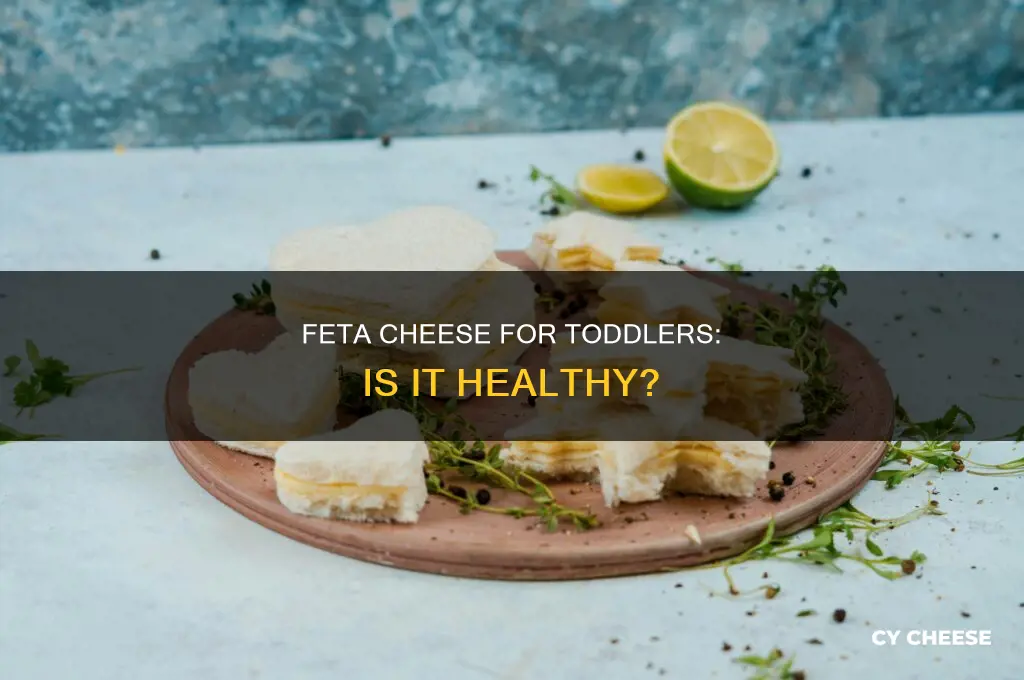 is feta cheese good for toddlers