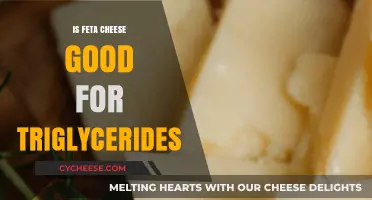 Feta Cheese: Friend or Foe of Triglycerides?