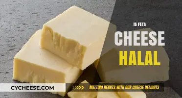 Feta Cheese: Halal or Haram?