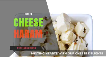 Feta Cheese: Halal or Haram?