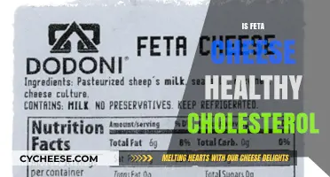 Feta Cheese: Healthy Cholesterol or Health Risk?